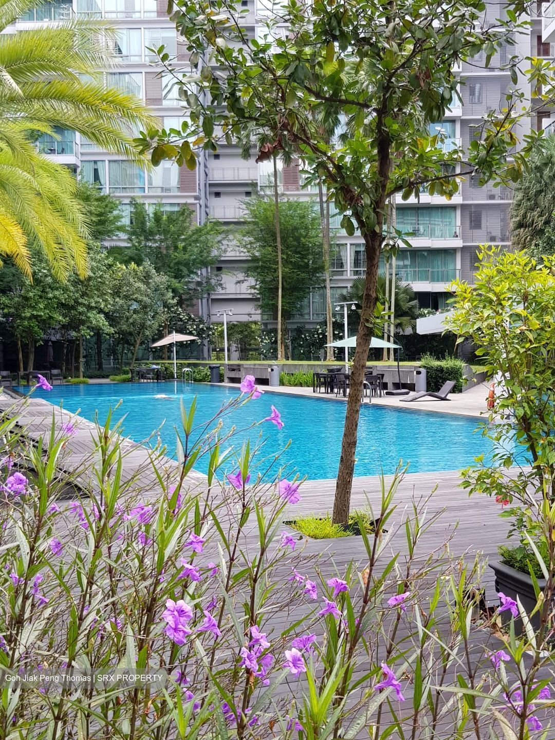 One-north Residences (D5), Apartment #318161191